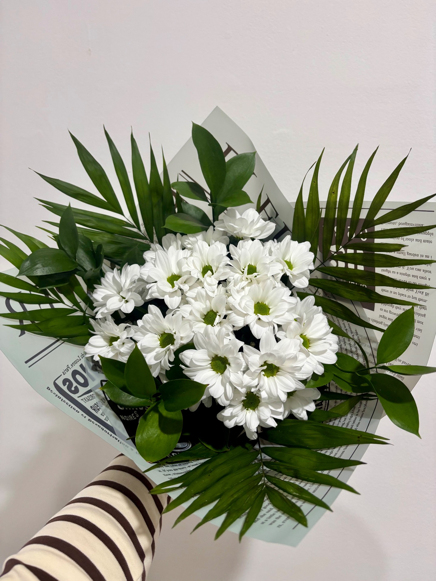 Buchet 3 crizanteme Baltica, 4 ruskus, 4 chamaedorea - 70 RON